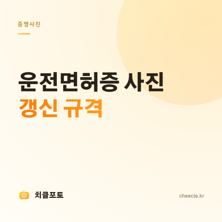 운전면허증 사진 규격