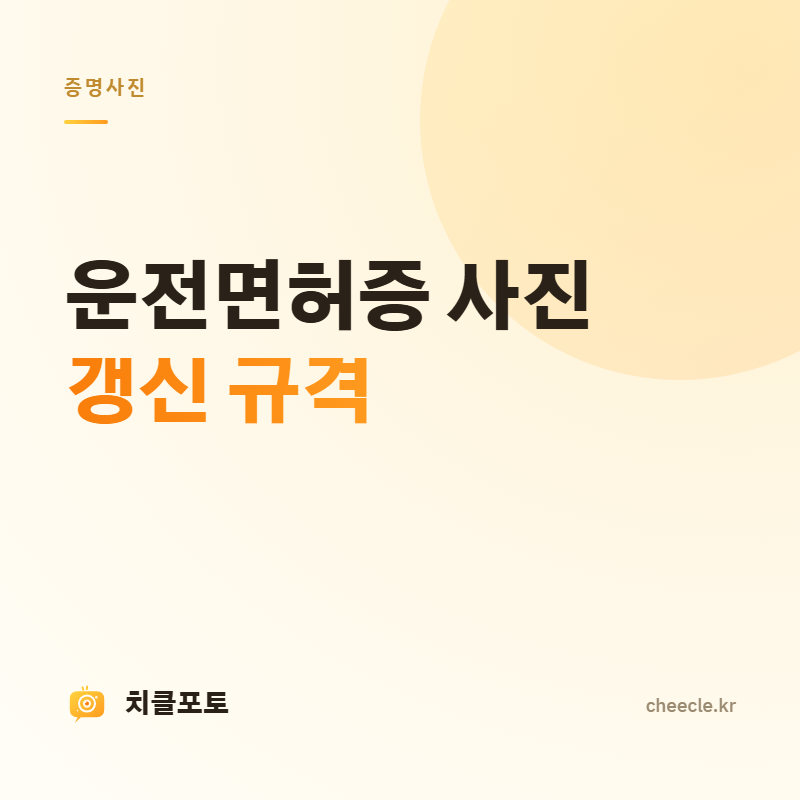 운전면허증 사진 규격