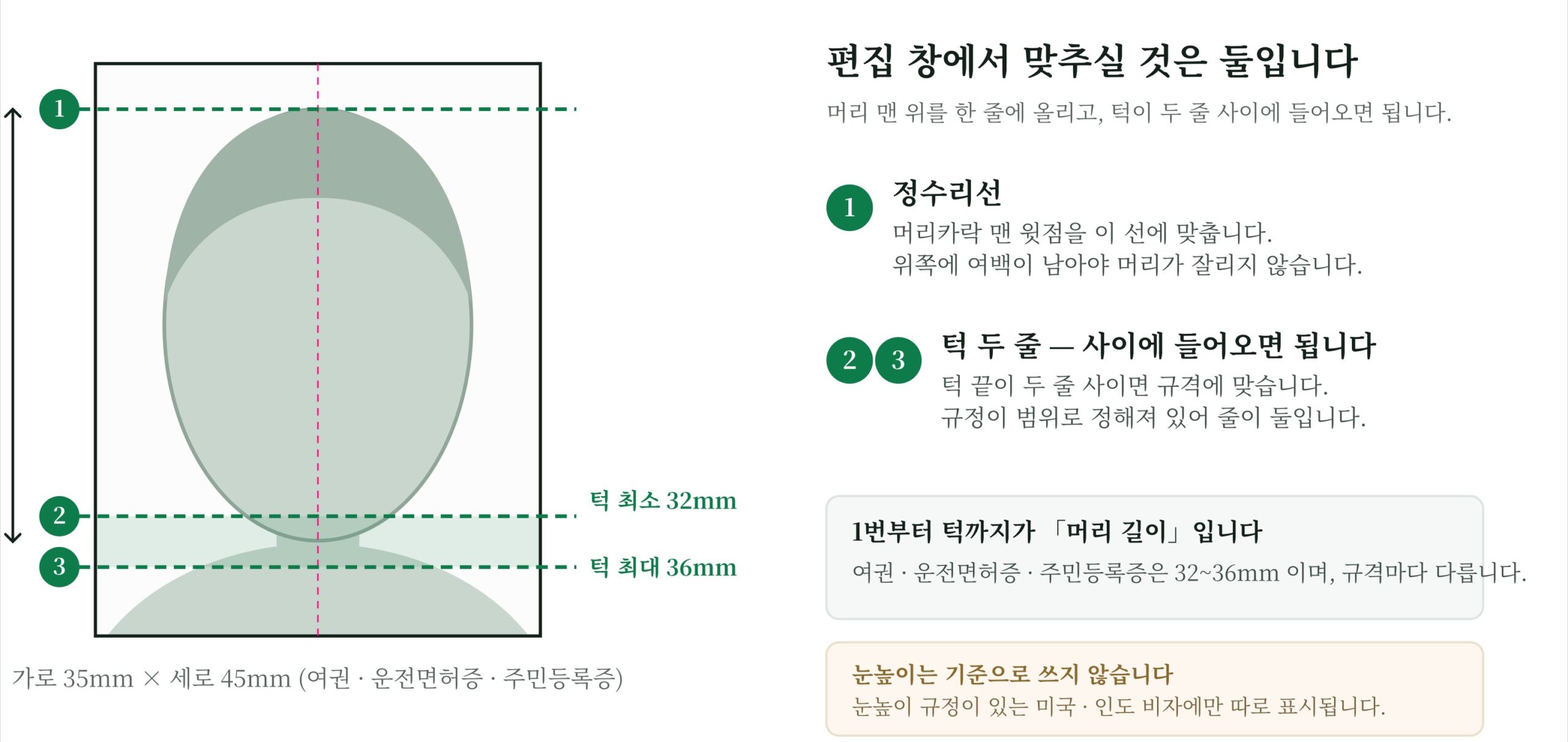35 x 45mm 증명사진 틀에 기준선이 표시된 도식. 위쪽 정수리선은 머리카락 맨 윗점에 맞추고, 아래쪽 턱선 두 줄 사이에 턱 끝이 들어오면 된다. 정수리선과 턱선 사이가 머리 길이이며 여권 규격은 32~36mm 범위다.